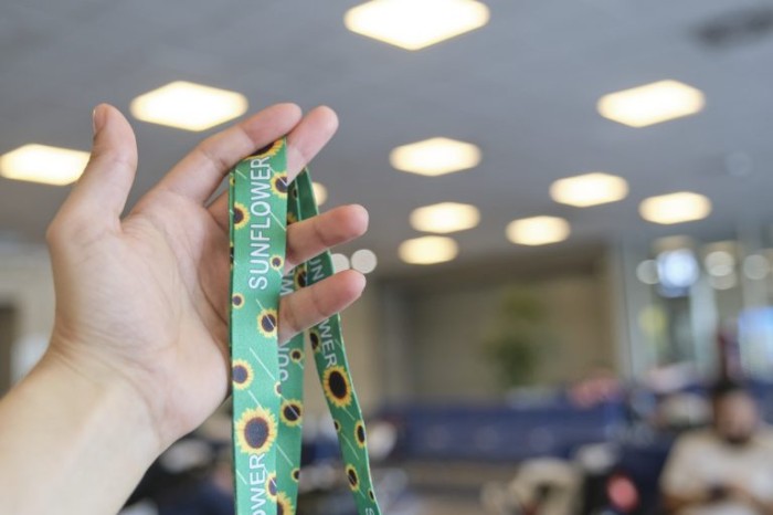 Projeto estabelece que cordão verde com girassóis simbolizará deficiências ocultas
