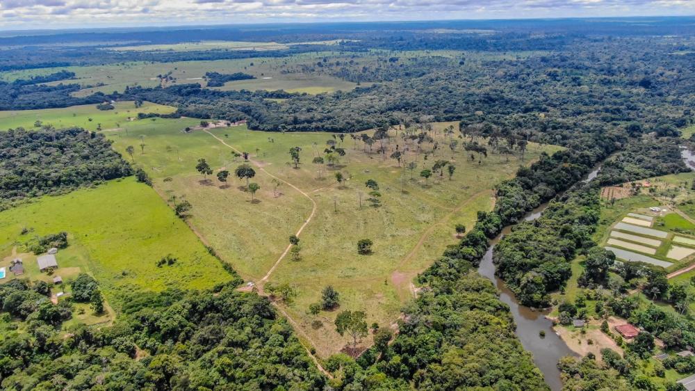 Prazo para a declaração do Imposto Territorial Rural começa nesta segunda-feira (14)