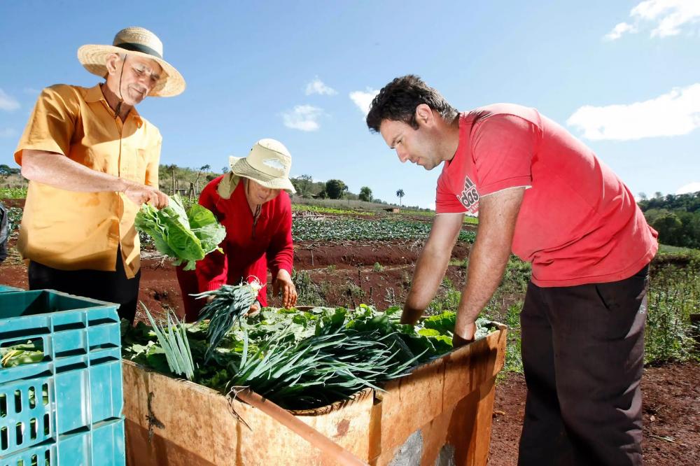 O bom exemplo de união e cultivo de terras produtivas que geram emprego e renda