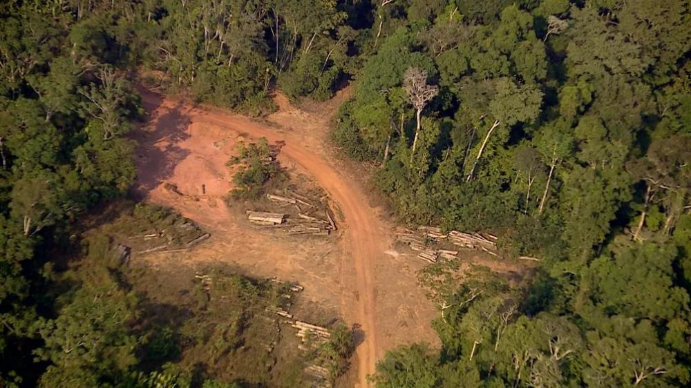 Rondônia é destaque e comemora índices positivos de redução do desmatamento