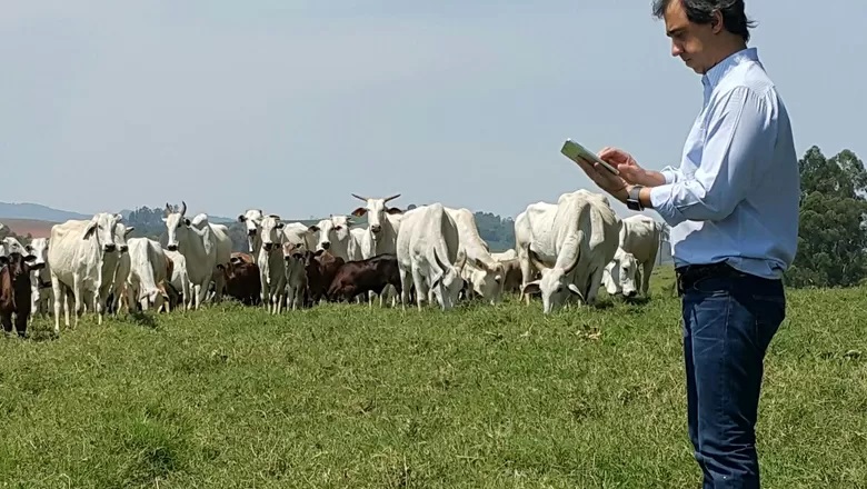 Pecuaristas ganham nova ferramenta para aquisição de animais
