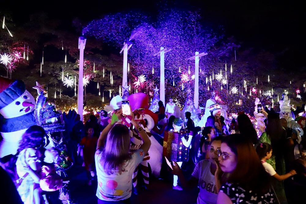Ieda Chaves participa da cerimônia de acendimento das luzes do Natal Porto Luz 2023