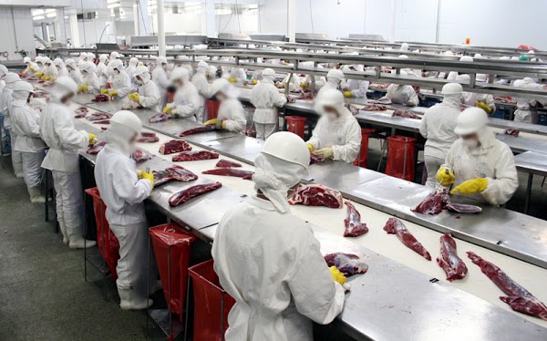 Governo garante que carne de Rondônia deverá atingir um bilhão de dólares em exportação
