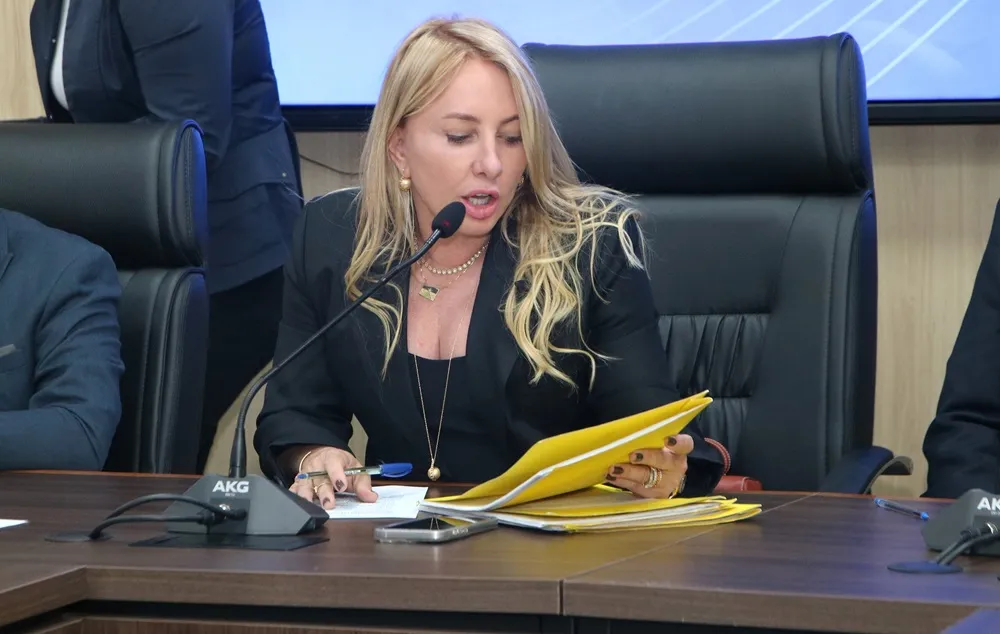 Ieda Chaves indica aquisição de equipamentos e atualização de acervo de escola em Estrela Azul