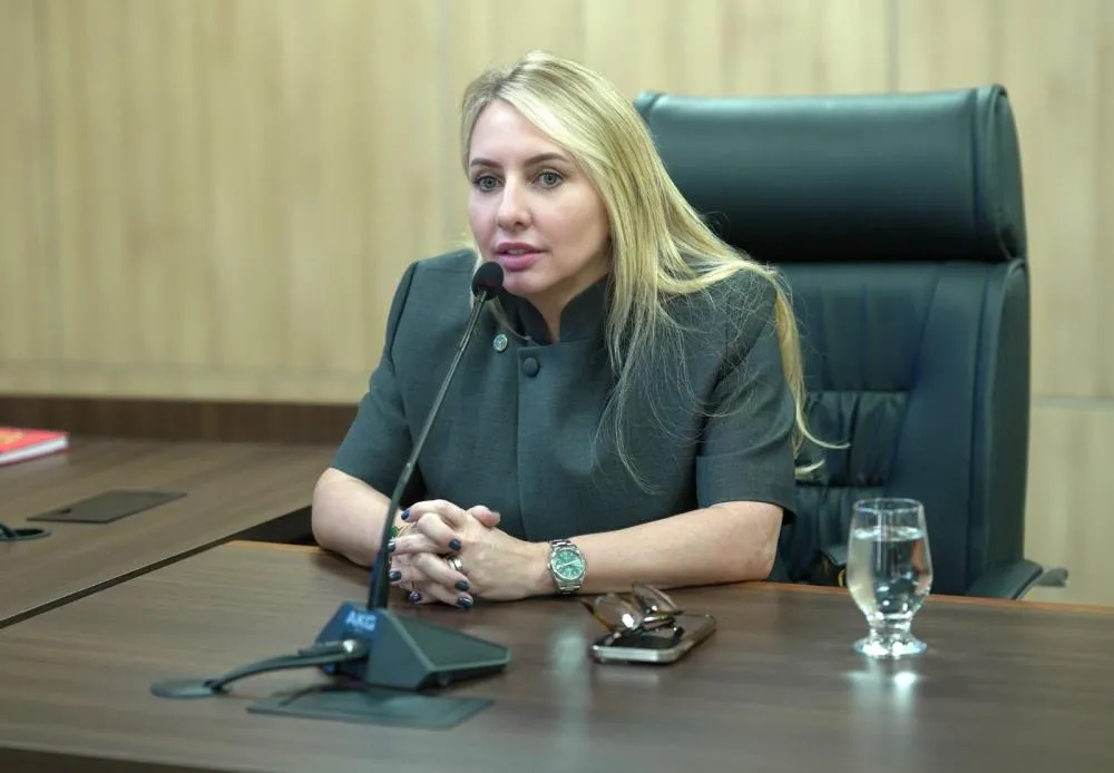 Ieda Chaves solicita substituição de ponte de madeira por concreto sobre o Rio Guarajús, na RO-499