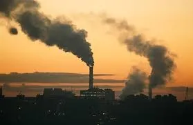 Mais uma Lei com foco na questão ambiental é considerada inconstitucional em Rondônia