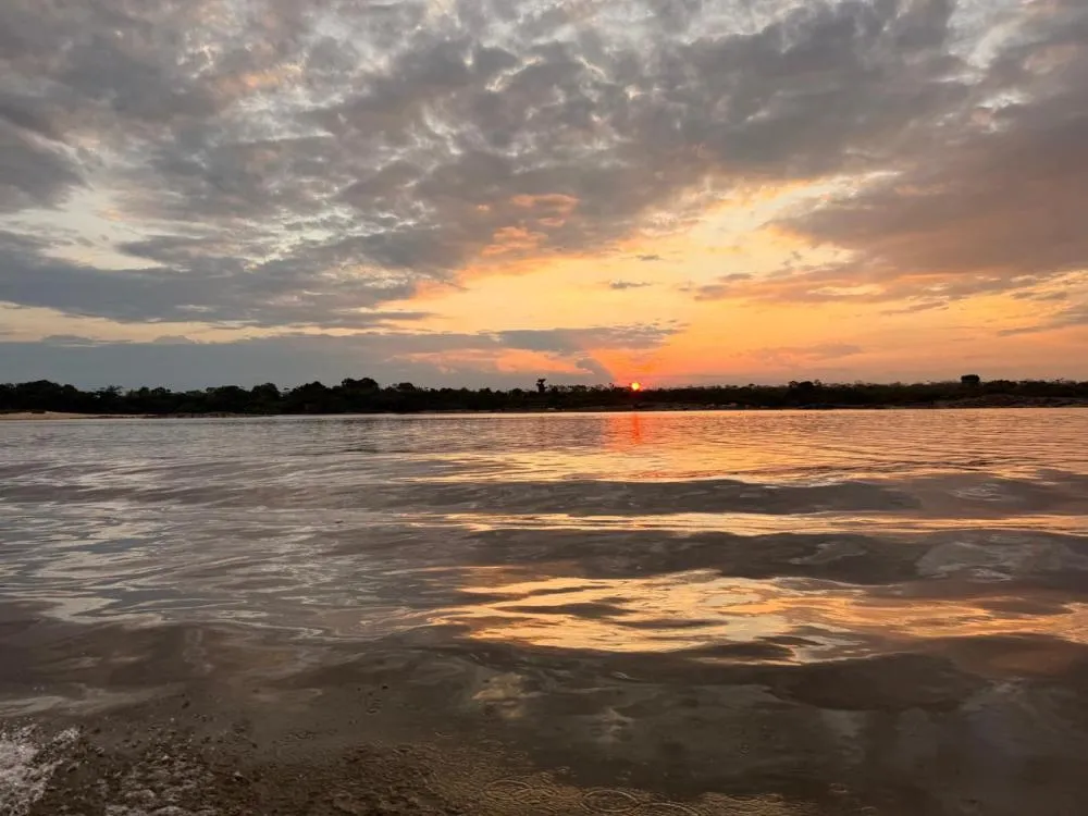 O Silêncio das Praias: Amazônia sem Ninho, Amazônia sem Futuro