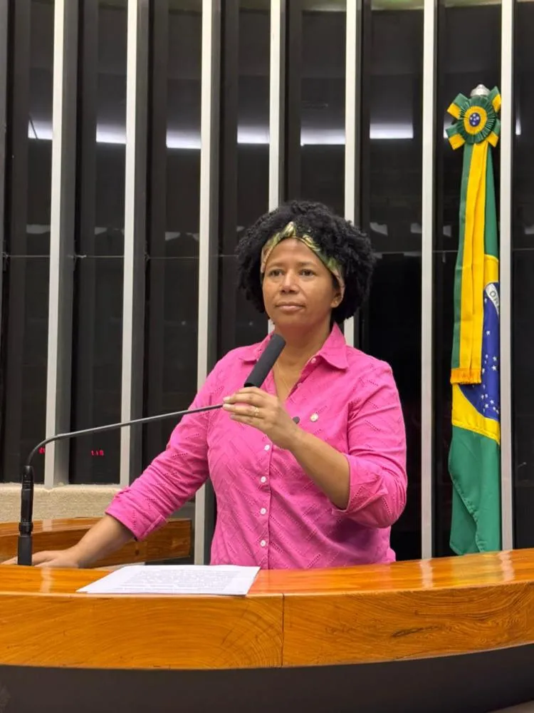 Sílvia Cristina alerta para injustiça com professores do ex-território e pede ação do Ministério da Gestão e do TCU