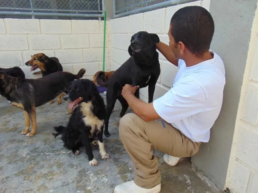 Ieda Chaves propõe criação de canis e gatis em presídios de Rondônia para ressocializar detentos