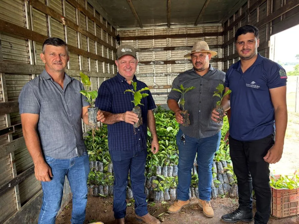 Emendas do deputado Pedro Fernandes fortalecem produção com entrega de mudas de café em Rondônia