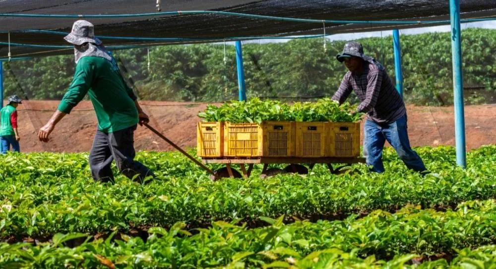 Alan Queiroz destina R$ 50 mil para fortalecer produção rural em São Francisco do Guaporé