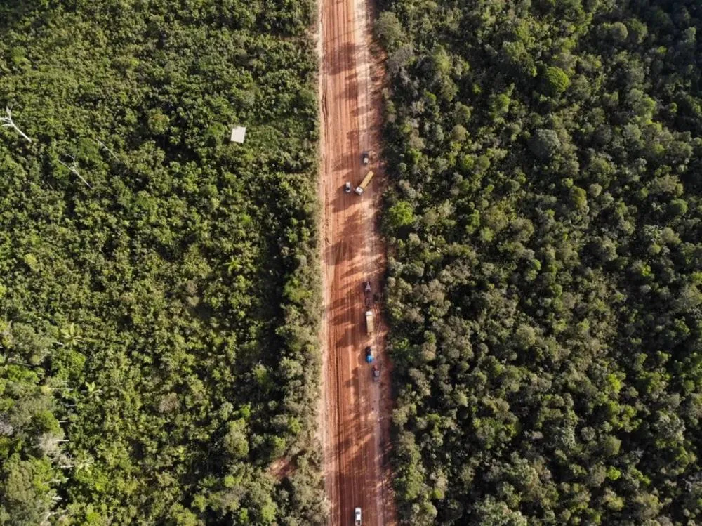 Fim do isolamento: avanço da BR-319 pode transformar economia do Norte
