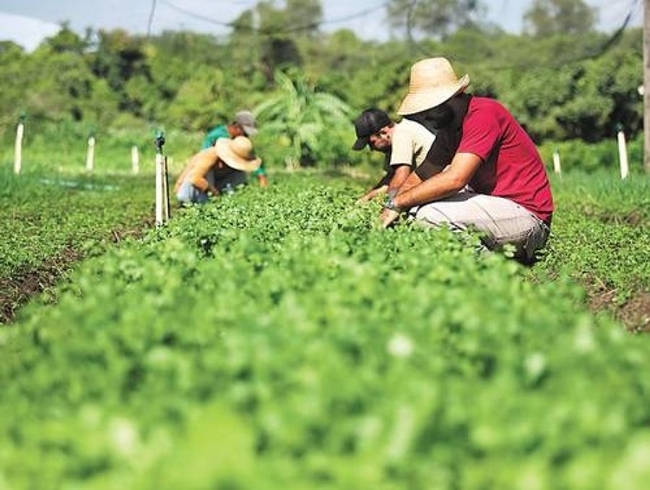 Apesar de recursos modestos, incentivos governamentais fomentam a Agricultura Familiar em Rondônia