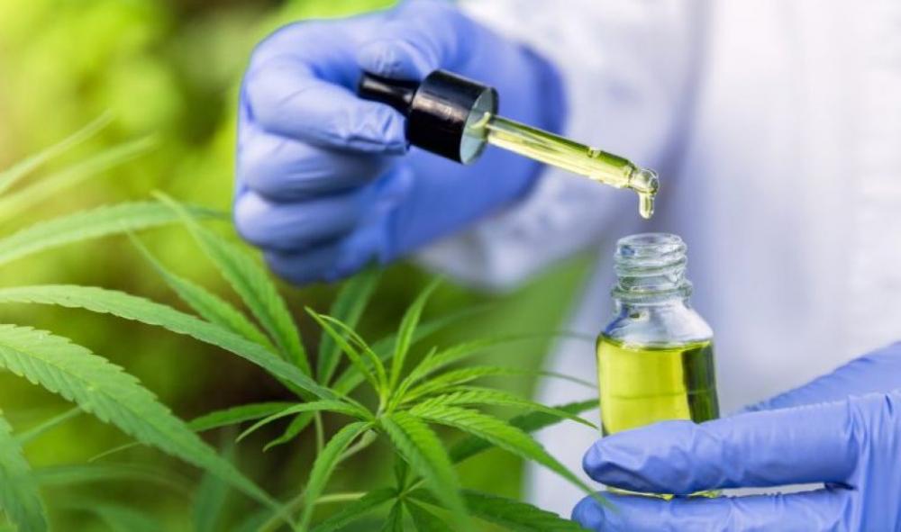 Assembleia Legislativa age em benefício da saúde e aprova gratuidade de medicamento à base de canabidiol