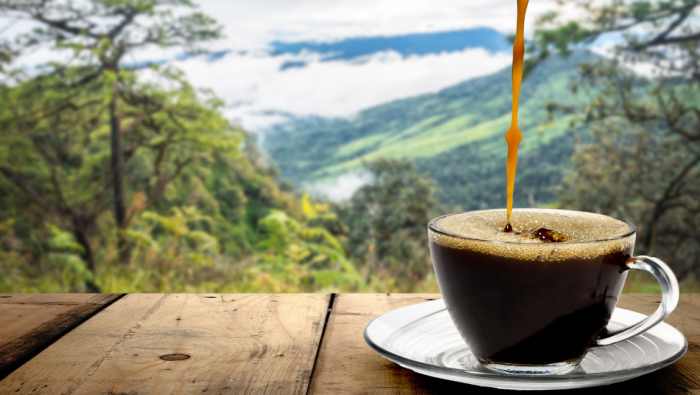 Café com turismo: saboreie o melhor da bebida pelo país
