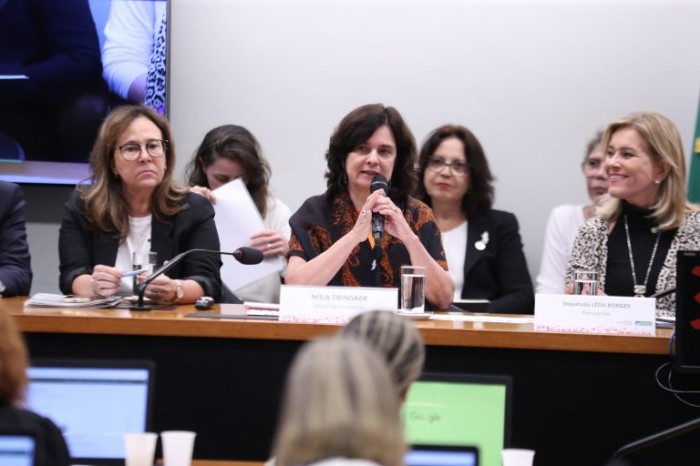Duas comissões da Câmara ouvem ministra da saúde sobre prioridades da pasta em 2023