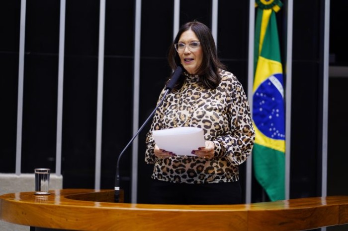 Aniversário de 63 anos de Brasília é comemorado em sessão da Câmara