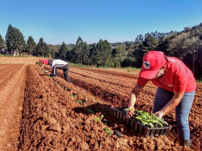 Comissão recebe ministro Paulo Teixeira para debater reforma agrária e agricultura familiar