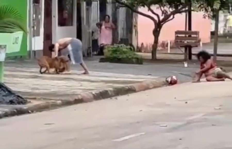 Cães da raça Pitbull pertencentes a vereador de Porto Velho atacam diarista que chegava para trabalhar