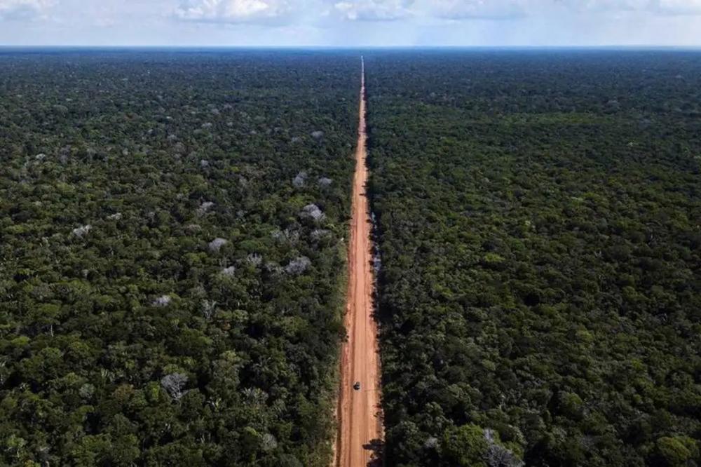 Ministra diz que governo não vai autorizar pavimentação na 319 sem estudo ambiental