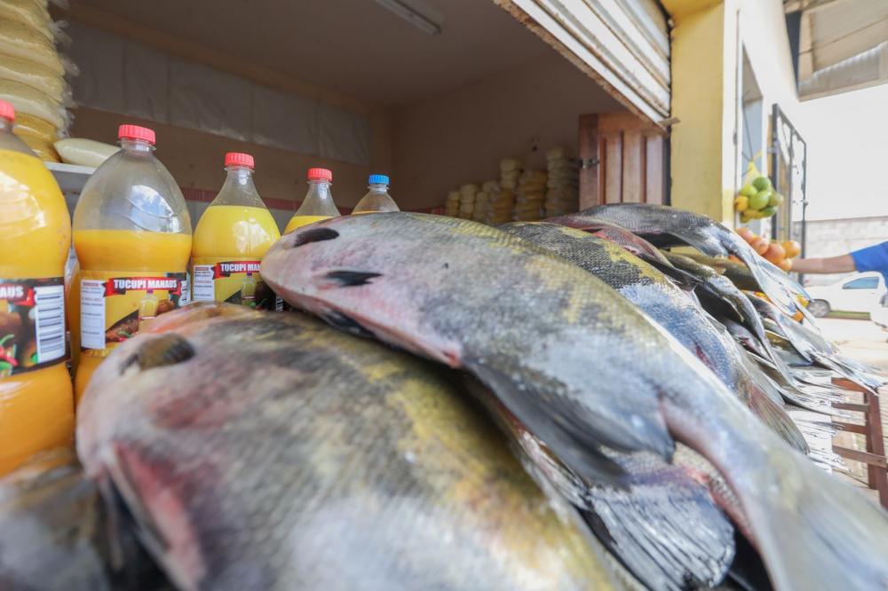 População de Rondônia pode estar comendo peixe contaminado, aponta estudo