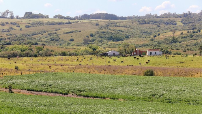Pampa: o bioma do Rio Grande do Sul