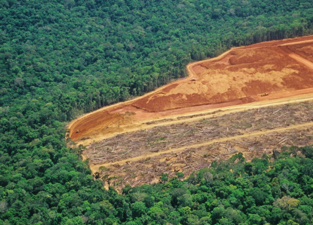 Audiência Pública pretende mobilizar produtores rurais contra embargos ambientais do IBAMA
