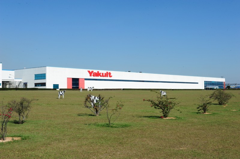 Yakult completa 55 anos de presença no Brasil