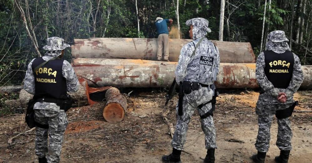 Estudo revela que crime organizado vem crescendo e criando ramificações na Amazônia